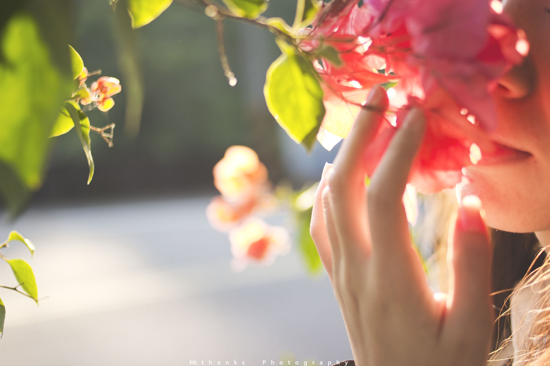 http://i.dcview.tw/gallery/201312/042d61f1c135161e16f2d370b3daa82a.jpg
