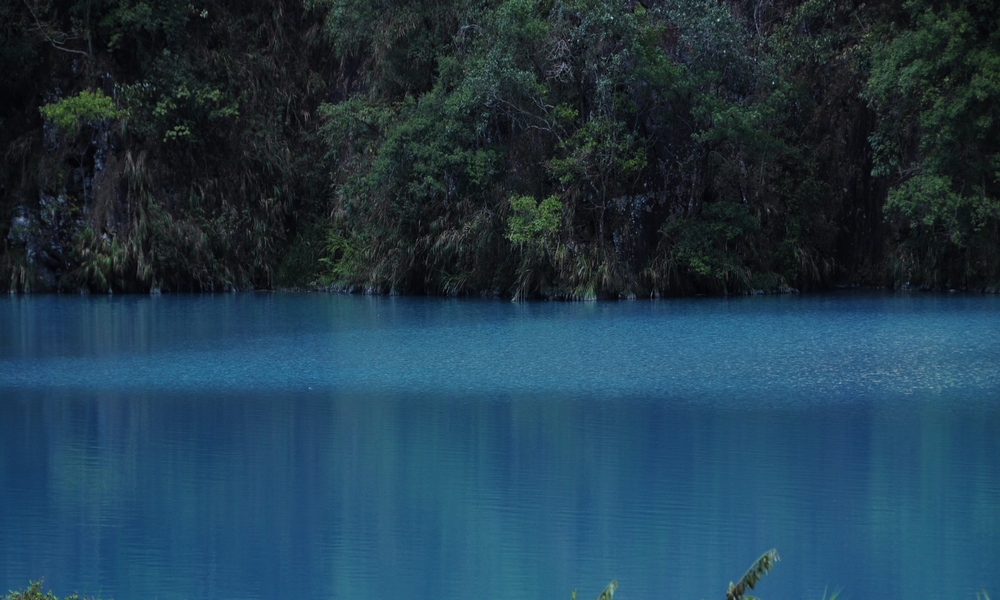 http://i.dcview.tw/gallery/201312/09f2c53654bd119c59264099ea831983.jpg