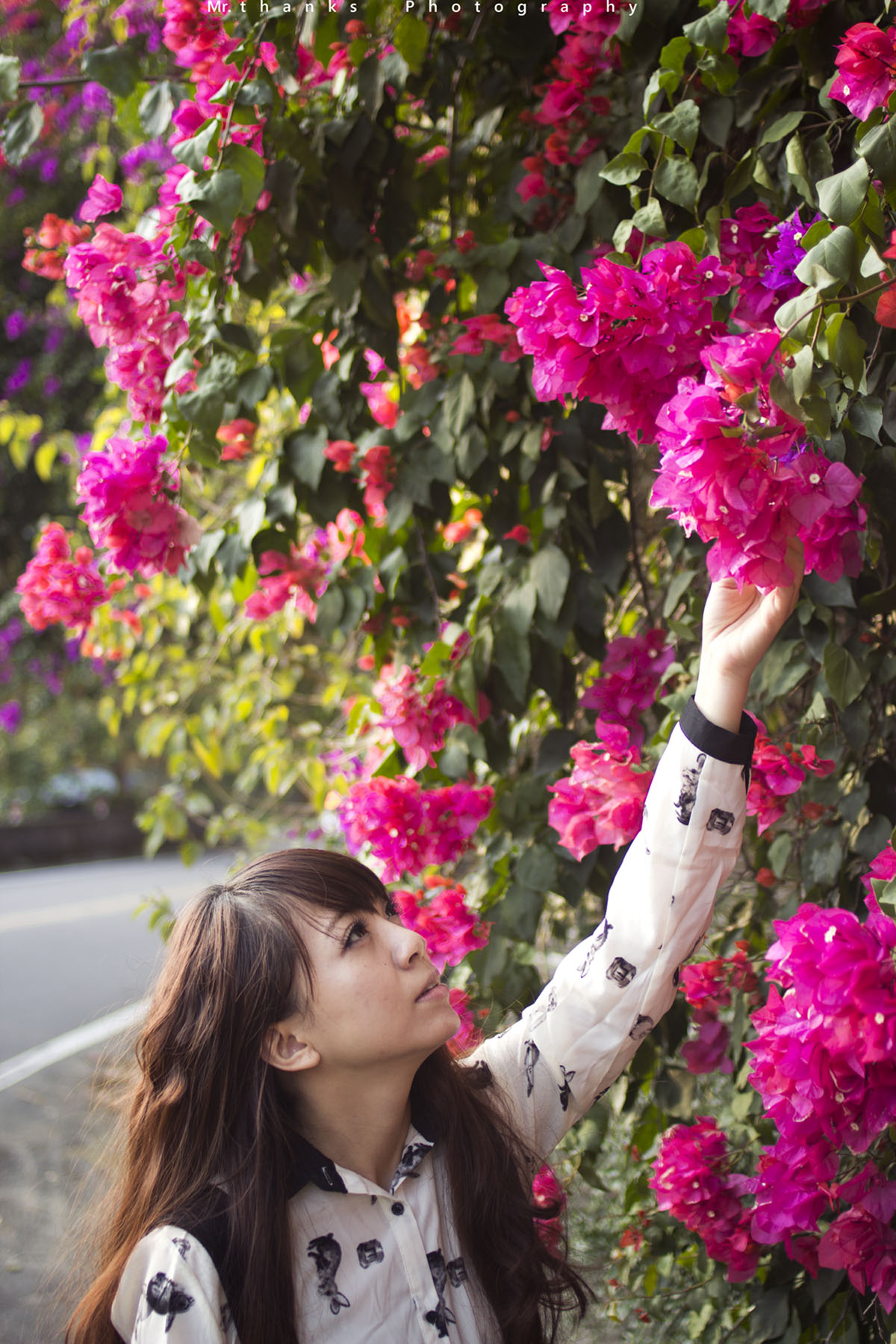 http://i.dcview.tw/gallery/201312/19ab11b3ef544867e5ed082613d66c88.jpg
