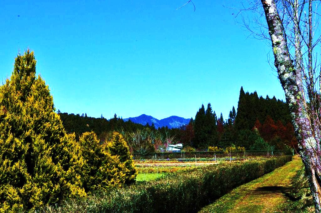 http://i.dcview.tw/gallery/201312/2399e4ac020f64e57723b2aa2d16c05a.jpg