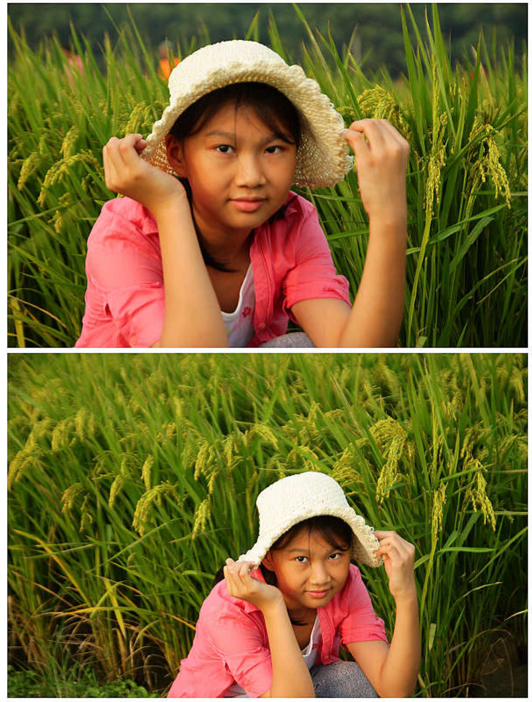 http://i.dcview.tw/gallery/201312/244963d8632abbf1a098616526b0e00d.jpg