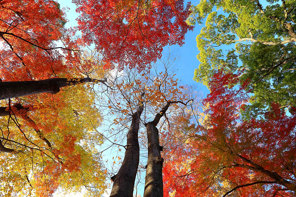 http://i.dcview.tw/gallery/201312/29c44b7438e5f1809cea00c39b0b7b07.jpg
