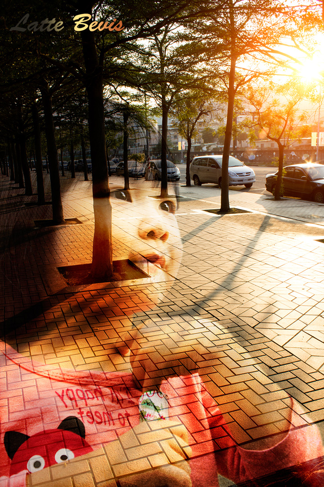 http://i.dcview.tw/gallery/201312/2aec52a30f9c3f3a5aeffdd8d1bf929b.jpg