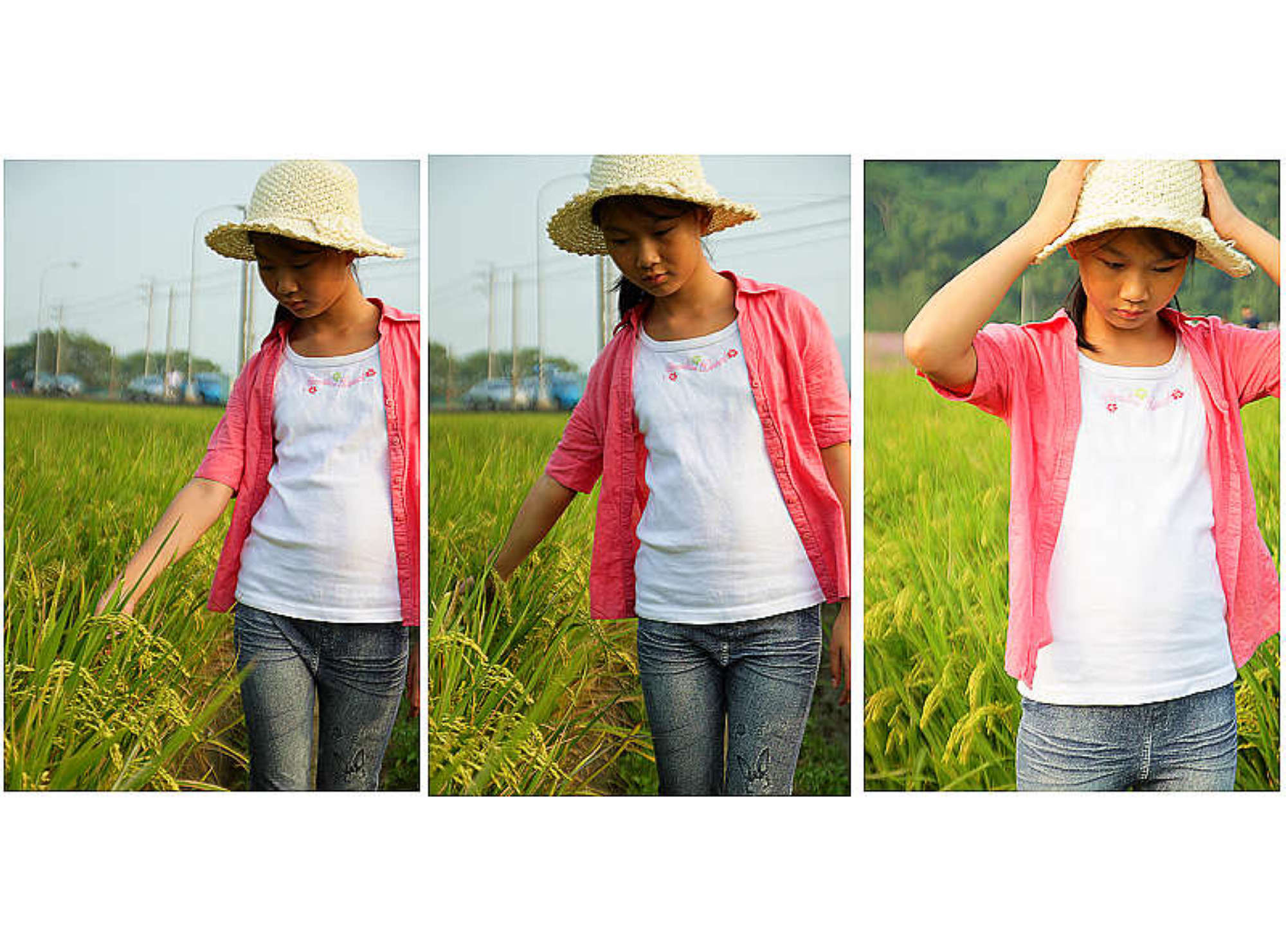 http://i.dcview.tw/gallery/201312/2f9cb884ff0c6eba7be0d3121e6d09ec.jpg