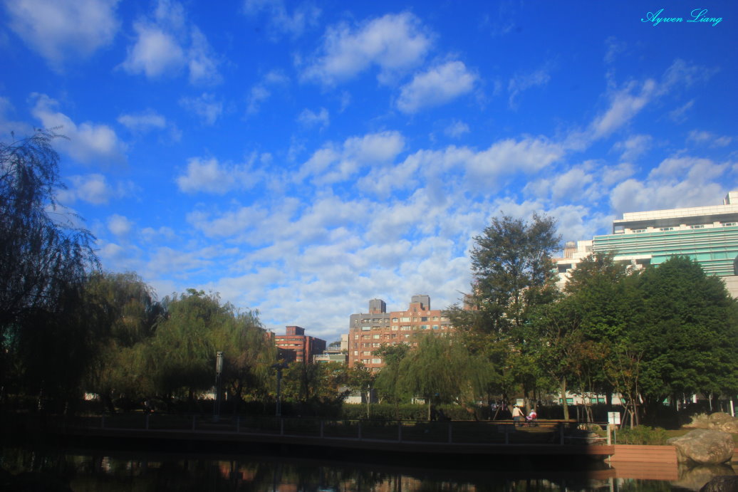 http://i.dcview.tw/gallery/201312/3583daacf14fb03f96d749dddf0fcad1.jpg