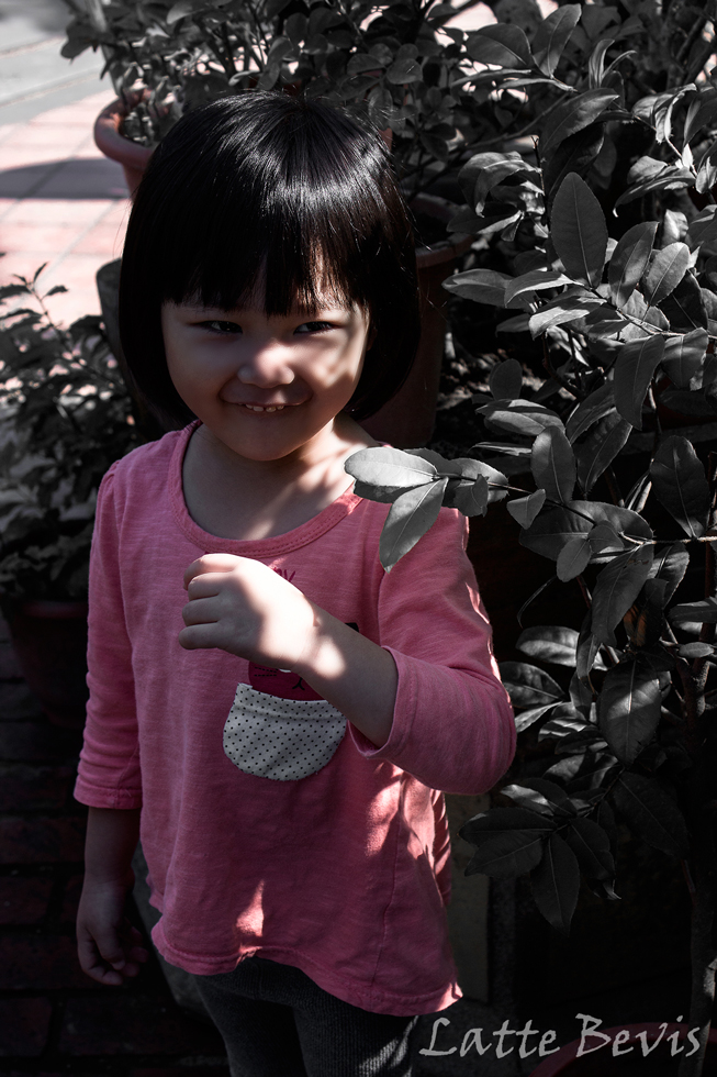http://i.dcview.tw/gallery/201312/41ea95ecc4abbf803b3f30c20d8c13a1.jpg
