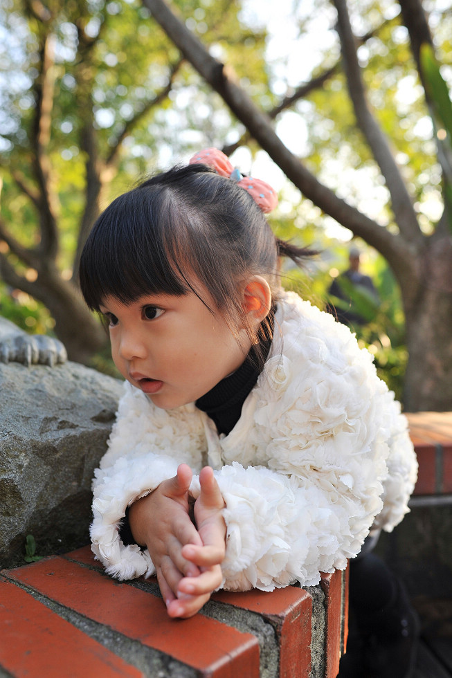 http://i.dcview.tw/gallery/201312/424aab87282ff4fec30f06c983cef7a3.jpg