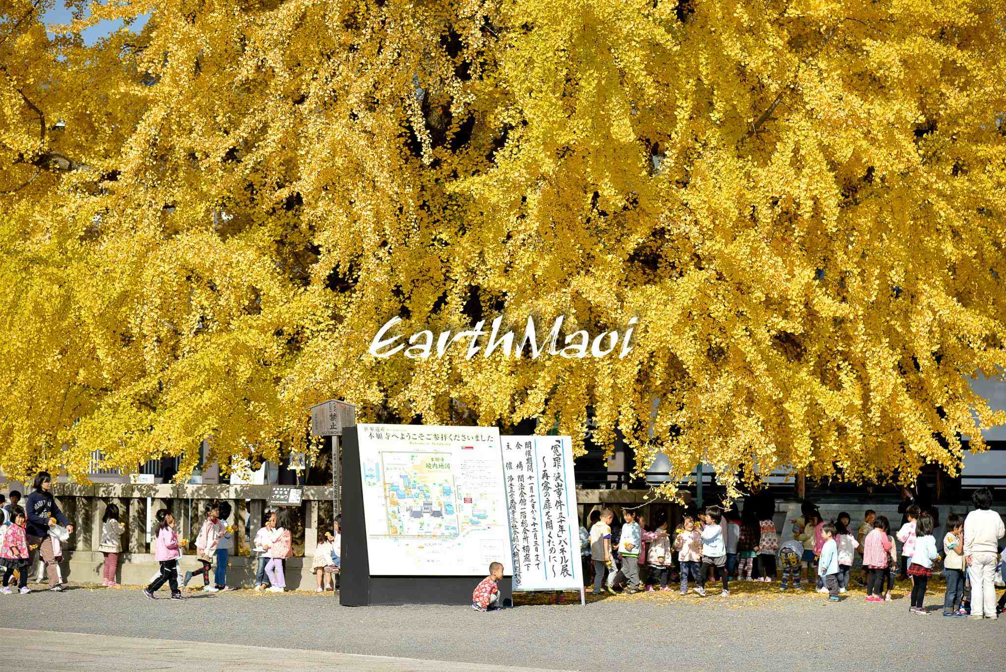 http://i.dcview.tw/gallery/201312/4fb72c0f80391319f862ecd76ab99704.jpg