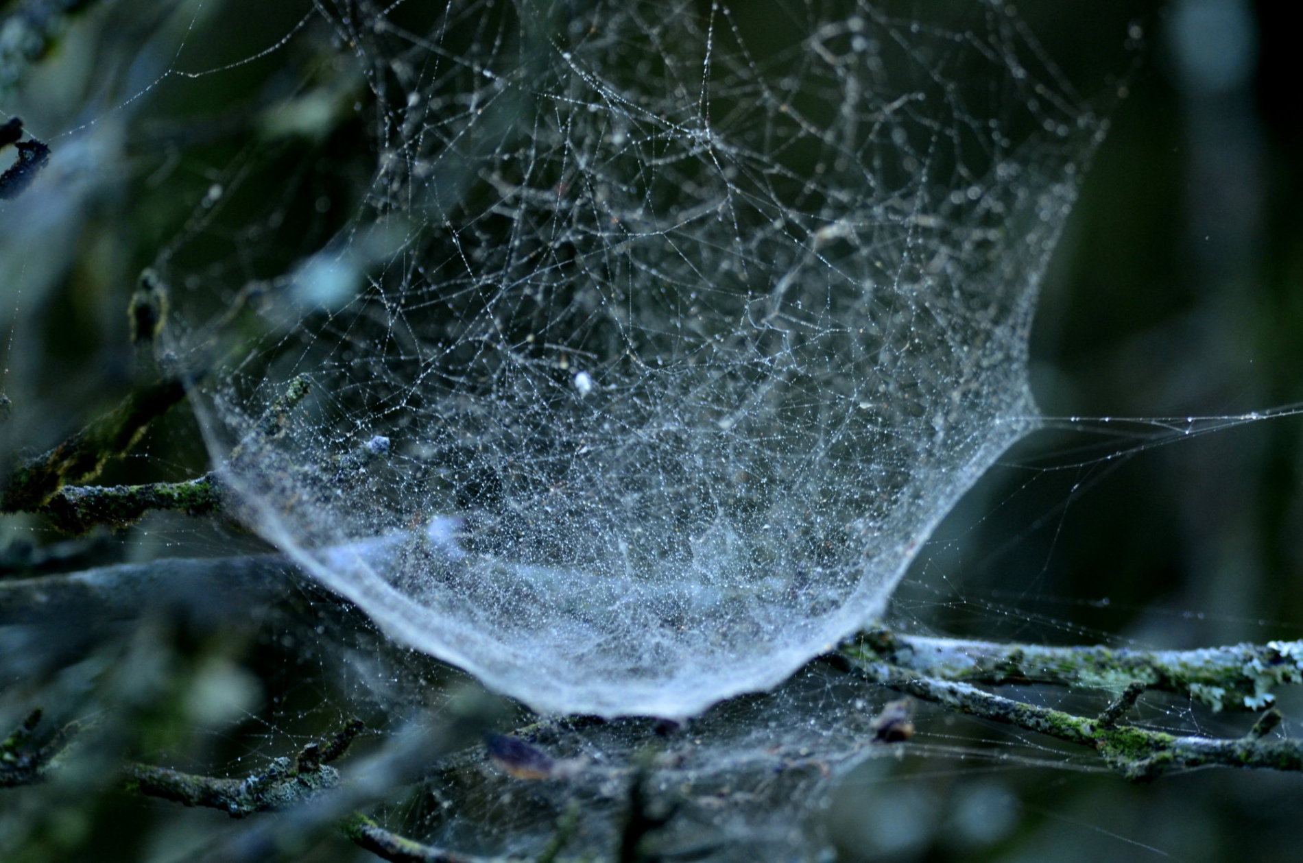 http://i.dcview.tw/gallery/201312/57a9d2f3793a2993399023d09dc4b74a.jpg