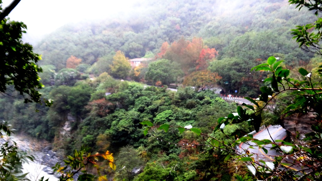 http://i.dcview.tw/gallery/201312/69215c02a5a1754154f164c9cdfa16ba.jpg