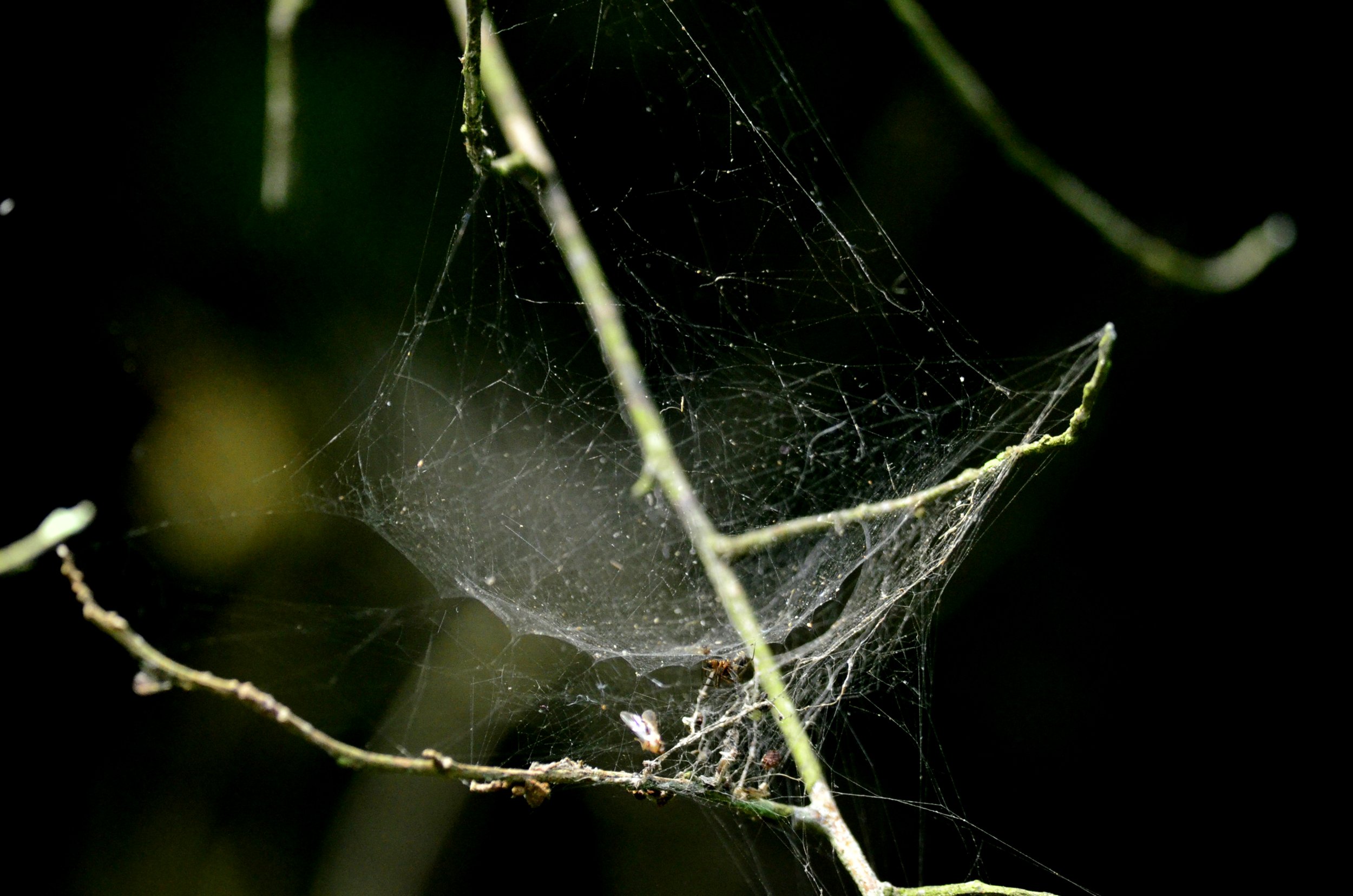http://i.dcview.tw/gallery/201312/6a53d620a44775d4d8737105adf85ccf.jpg