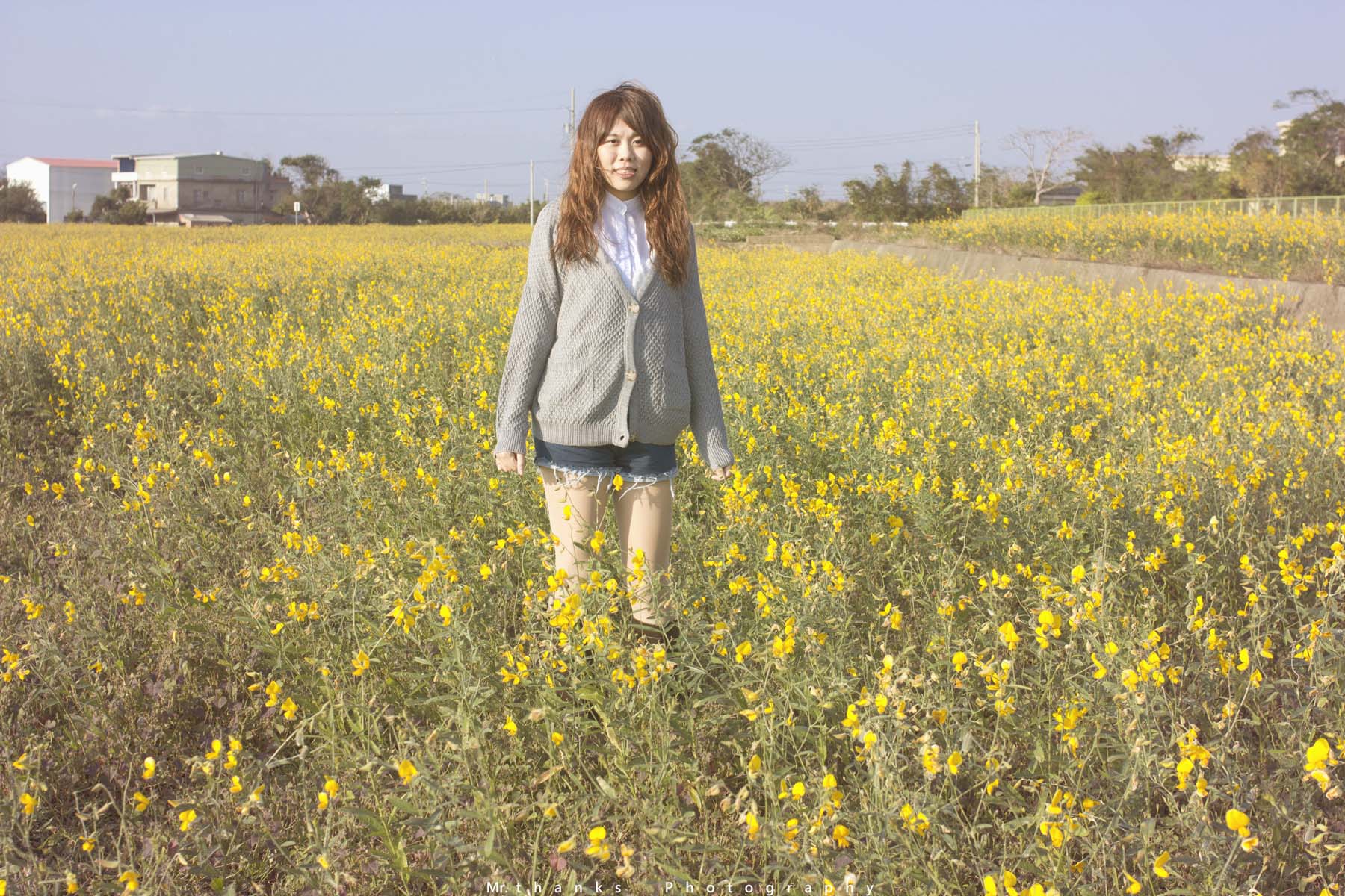 http://i.dcview.tw/gallery/201312/7430fd3acc171c1e471da71ed12d6c9d.jpg