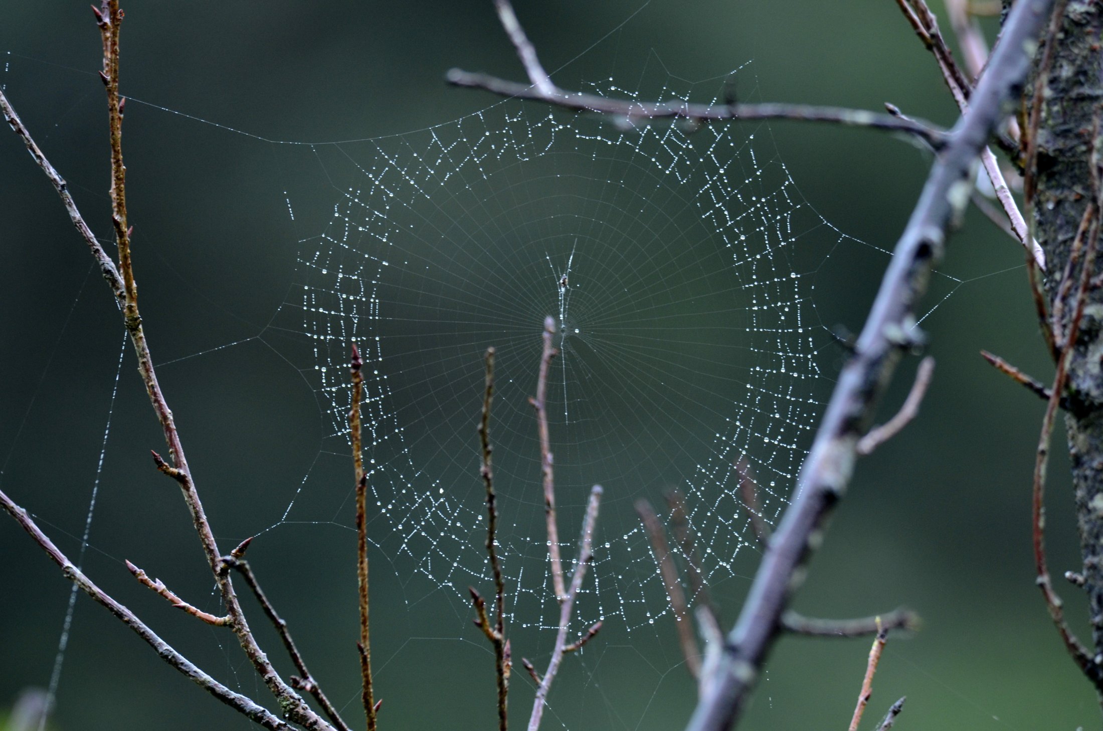 http://i.dcview.tw/gallery/201312/7a666bca7ec6a9085d35dd60a4965443.jpg