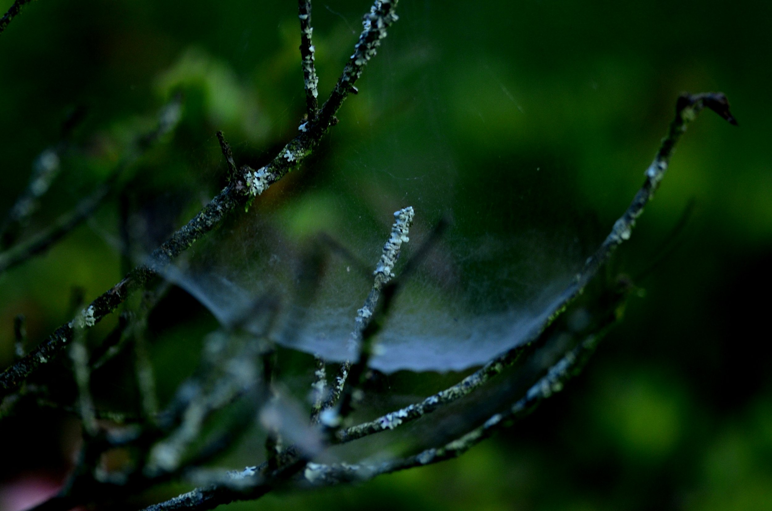 http://i.dcview.tw/gallery/201312/7ab2ef9f4c359652f041574b0253fdfb.jpg