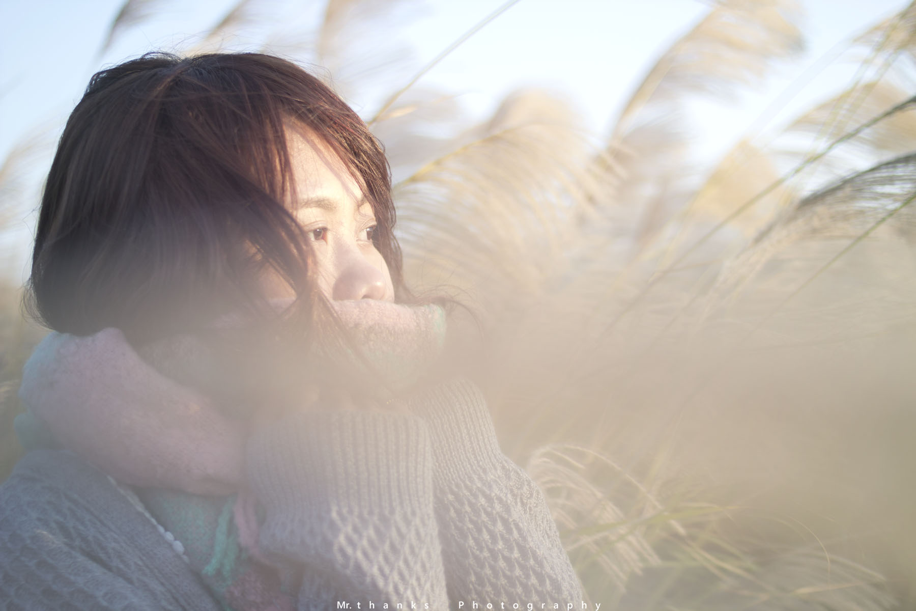 http://i.dcview.tw/gallery/201312/d0e024c1713ce4405c09c2974c30cb56.jpg
