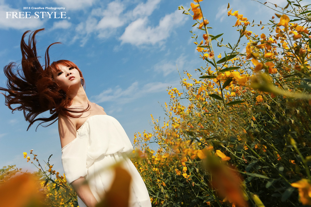 http://i.dcview.tw/gallery/201312/d1a5a1a799f26805726d857b6aa57708.jpg