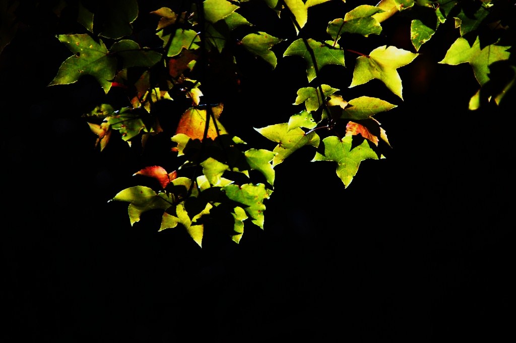 http://i.dcview.tw/gallery/201312/d21e37602da13e491593561c44703a46.jpg