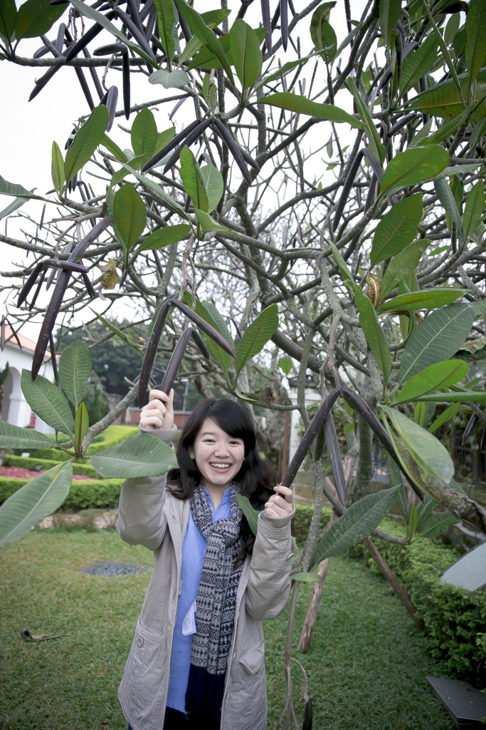 http://i.dcview.tw/gallery/201312/dffa0b18627890d7f418a32157945b1b.jpg