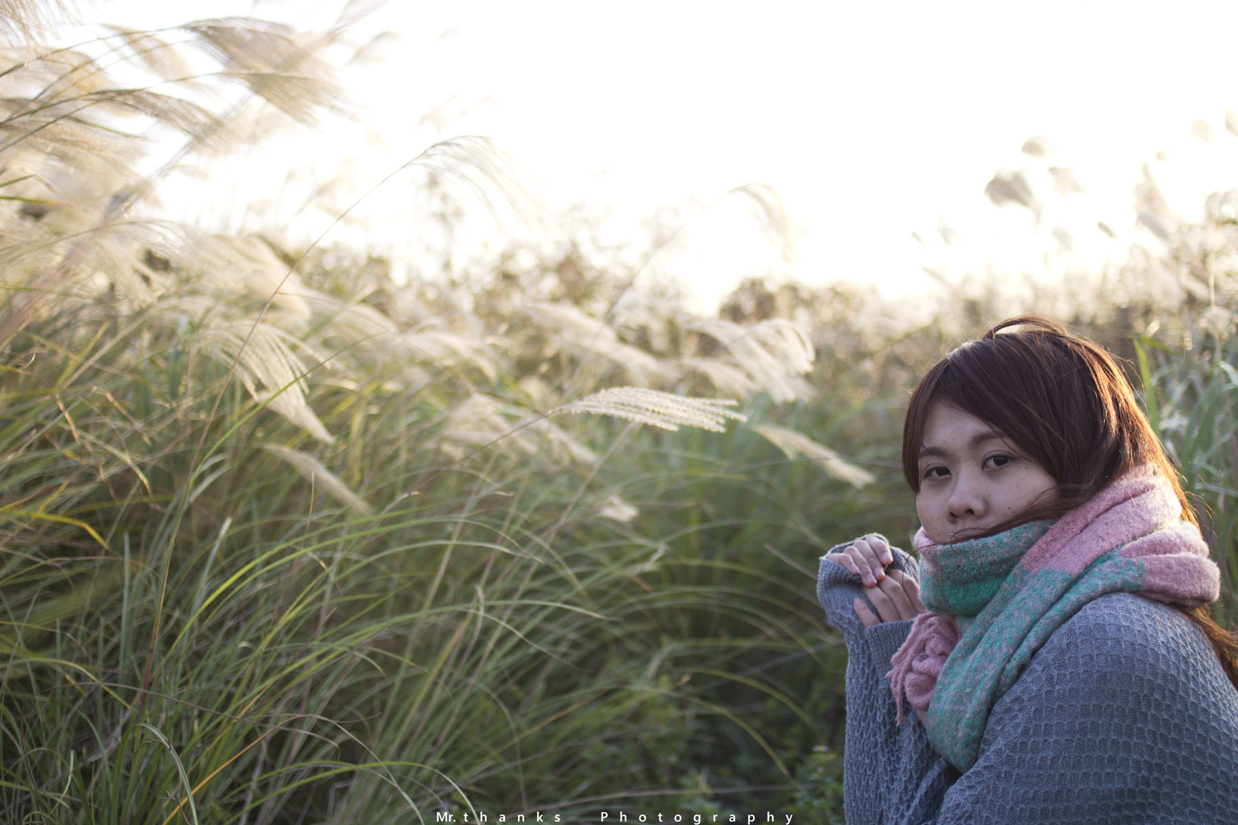 http://i.dcview.tw/gallery/201312/e6166700f43dea6c36bc5ccd2e197e4d.jpg