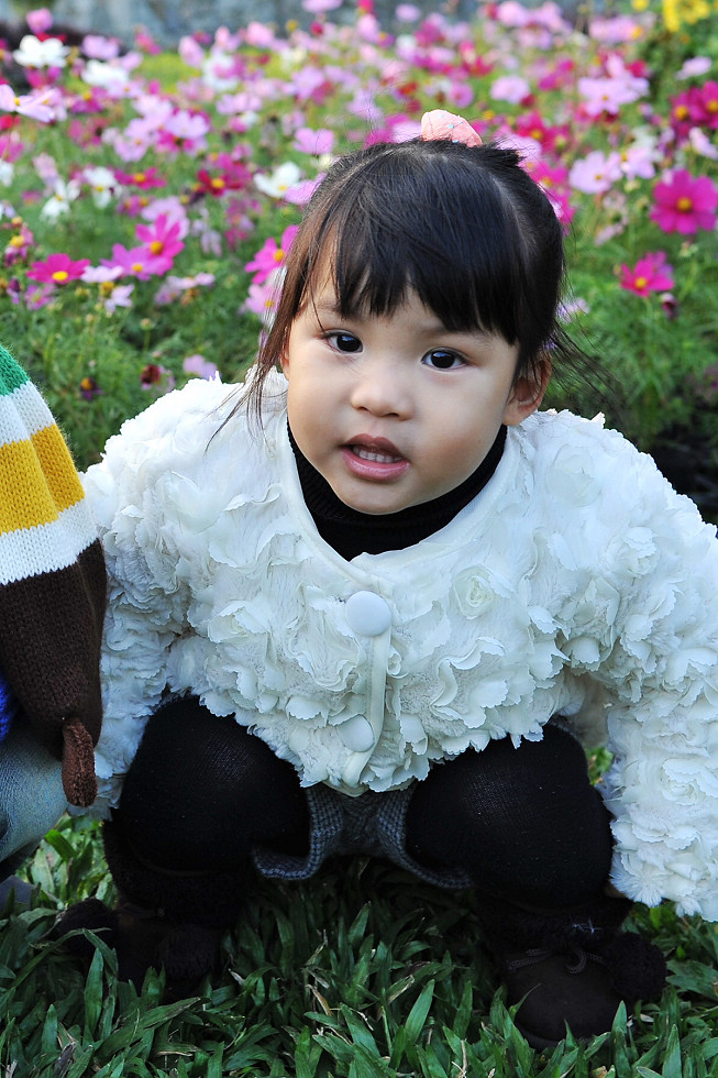 http://i.dcview.tw/gallery/201312/e655f310414df1fcbc3c3cfc60072827.jpg