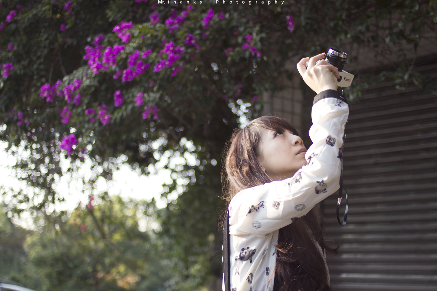 http://i.dcview.tw/gallery/201312/ed8751fd3f941ad53ced4bb34e080a0a.jpg