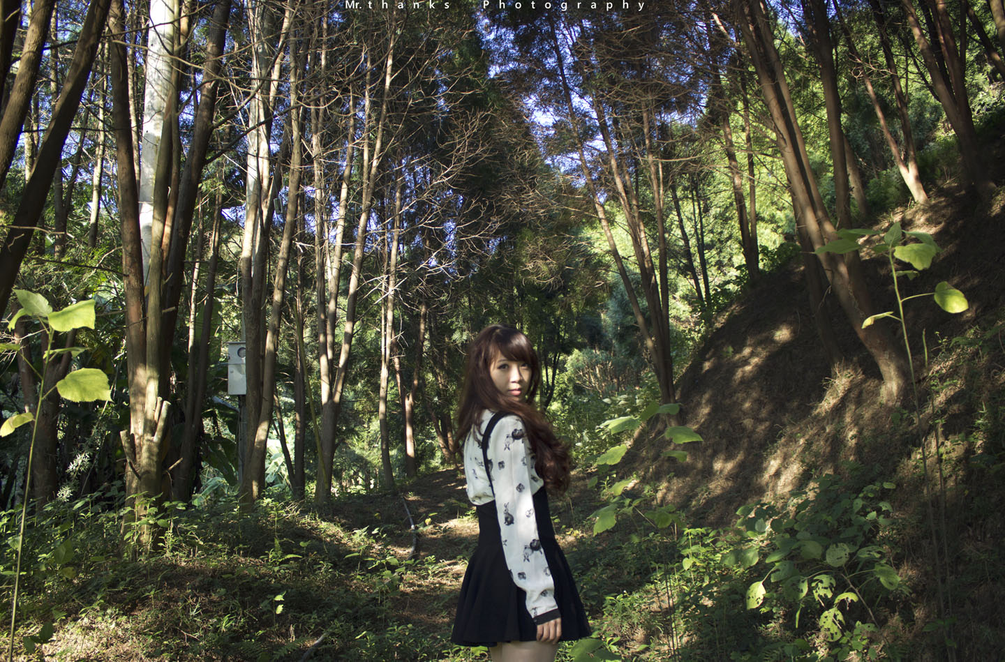 http://i.dcview.tw/gallery/201312/ee2b5f6f68f0895d826d29dca09528b4.jpg