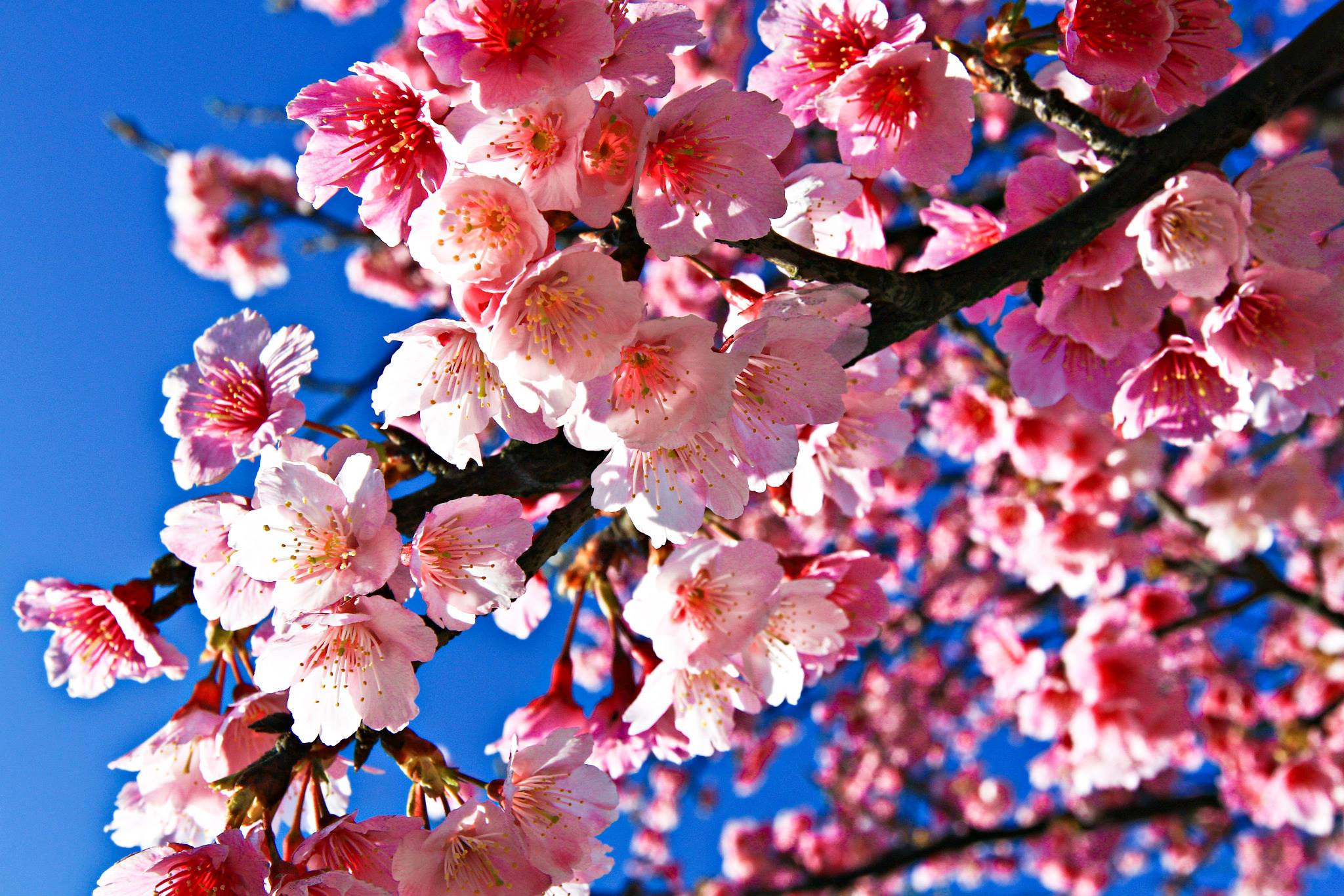 http://i.dcview.tw/gallery/201401/062f0e33996c0c6cfb00a946f444cb28.jpg