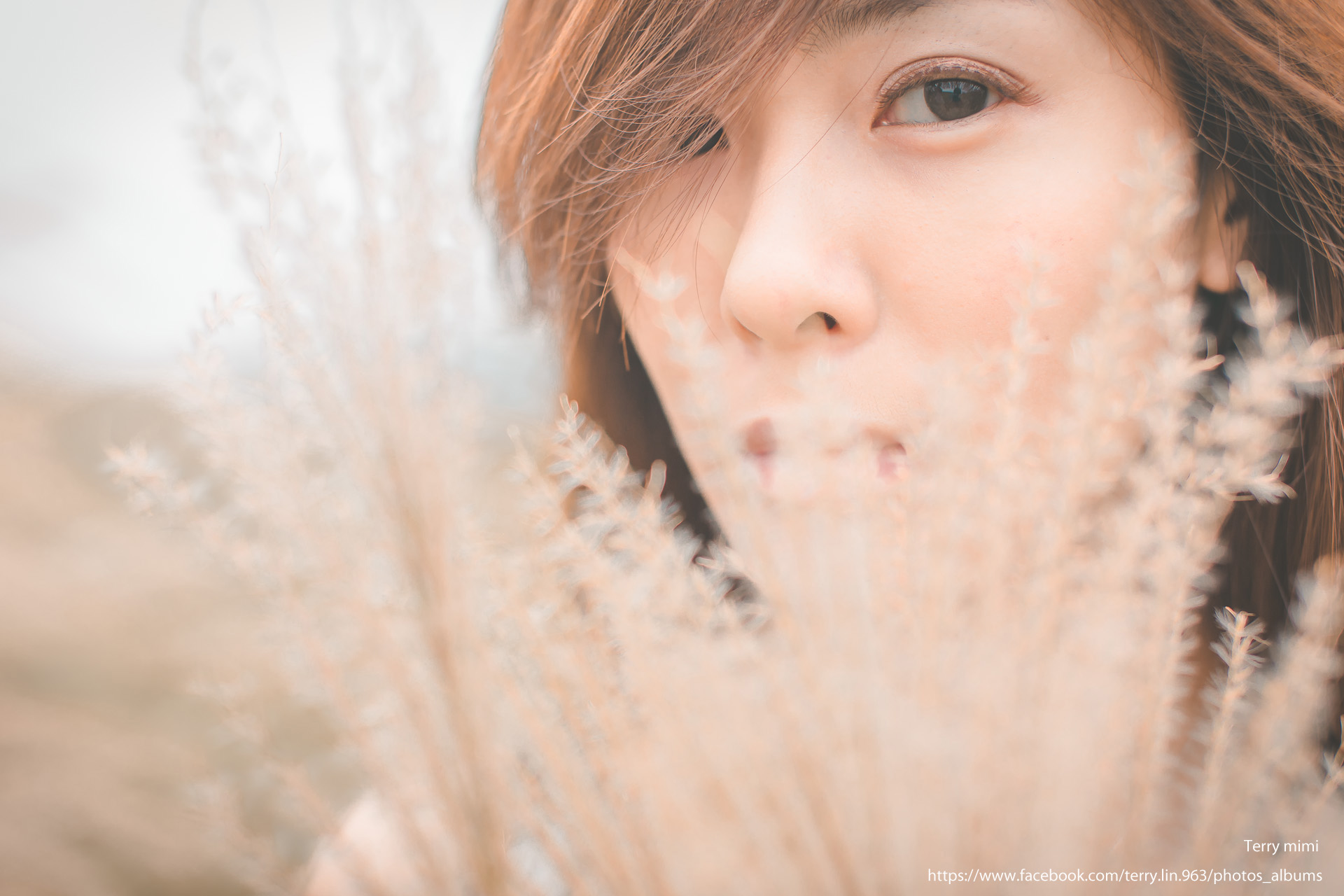 http://i.dcview.tw/gallery/201401/098370ffd9c3cb5fb02ff56d08823bab.jpg