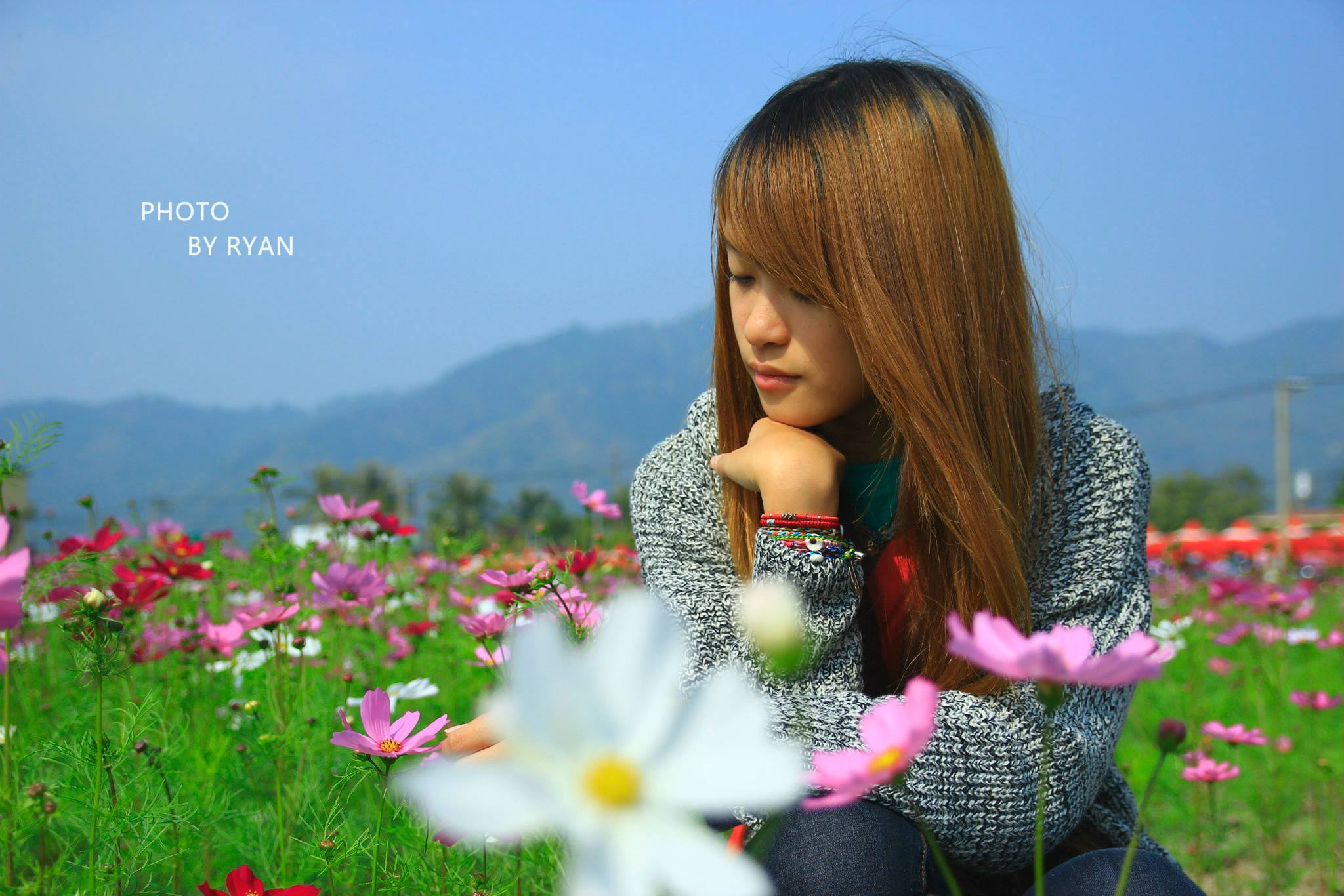 http://i.dcview.tw/gallery/201401/19ecd597439ab4f9249db7b3ba033574.jpg