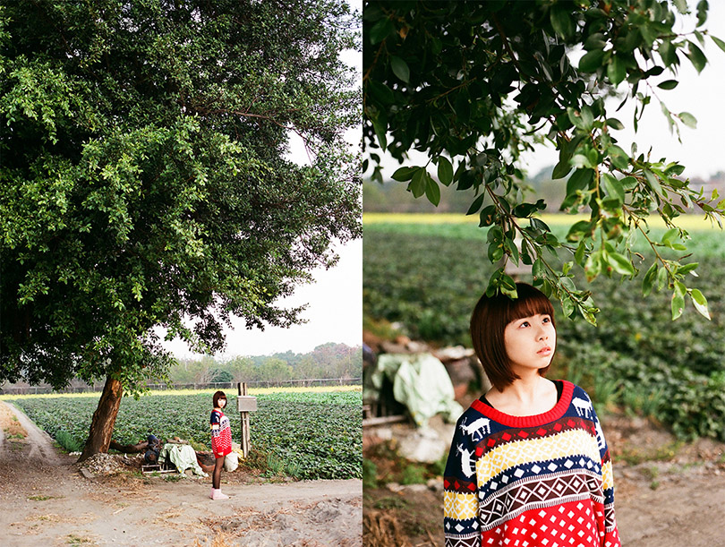 http://i.dcview.tw/gallery/201401/20ef738c42ba62622a208f6de85fb332.jpg
