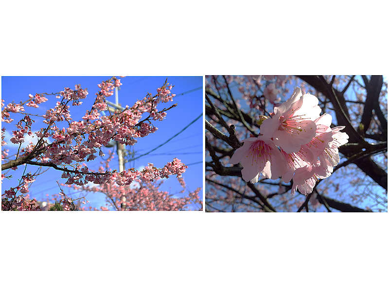 http://i.dcview.tw/gallery/201401/279928f48153b2152c68b4d6716c36e9.jpg