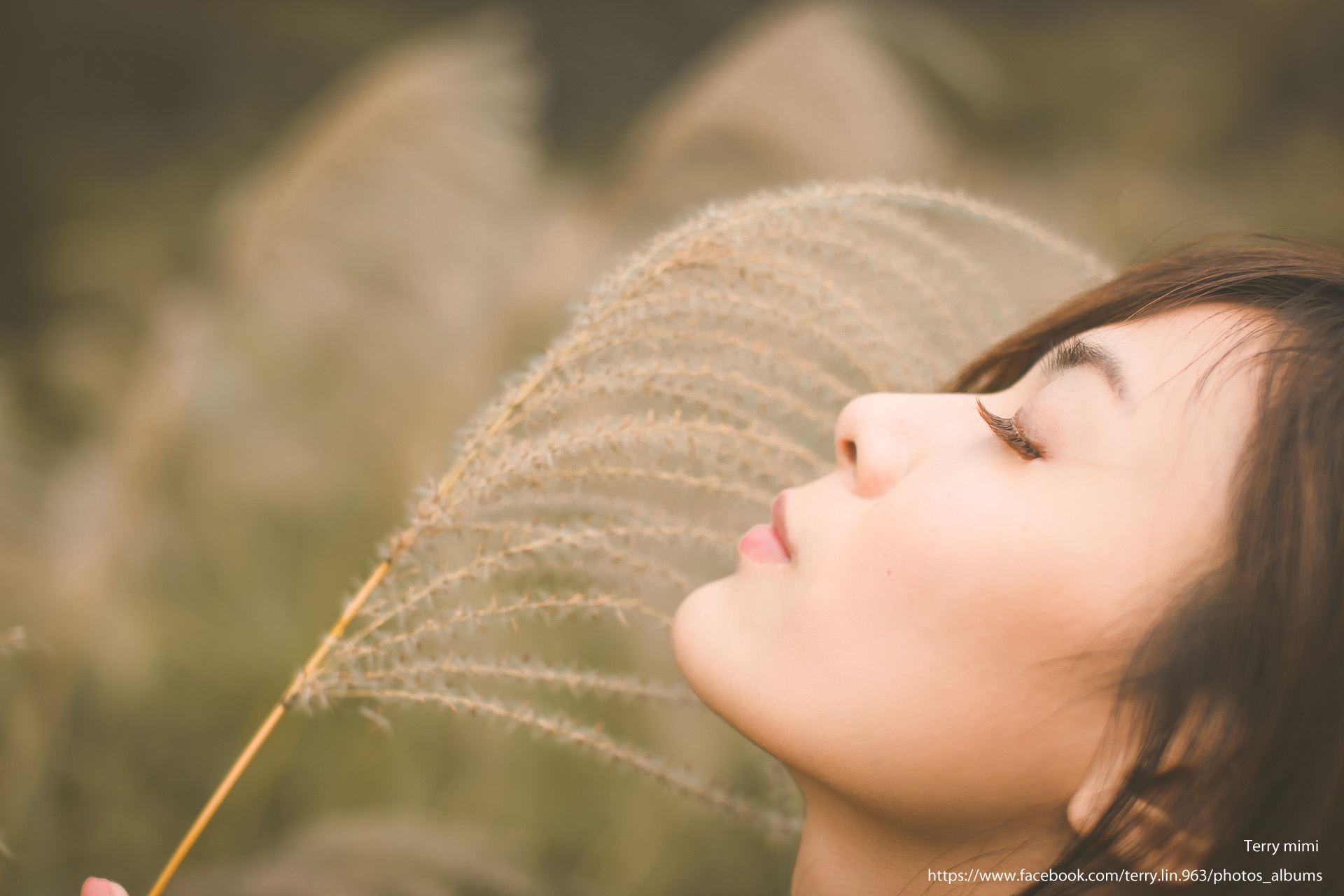 http://i.dcview.tw/gallery/201401/2e790450652f1d99f6671933b0eb6338.jpg