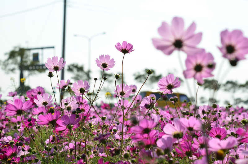 http://i.dcview.tw/gallery/201401/46411ff6fe9c7ad453180eba70af76c2.jpg