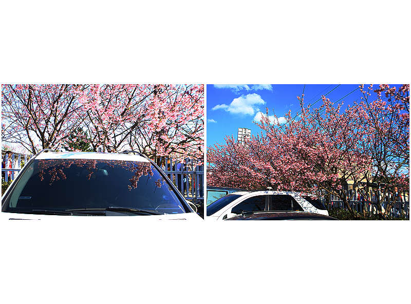 http://i.dcview.tw/gallery/201401/4dd3ac97fe7c75e02544090dd3668abe.jpg