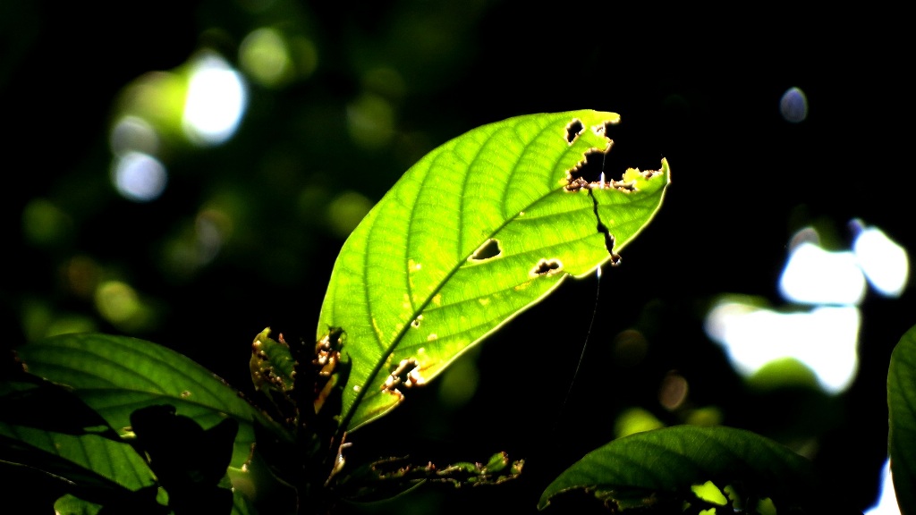http://i.dcview.tw/gallery/201401/5076959dff48528c37391fc95bf721e2.jpg