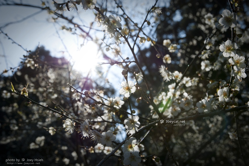 http://i.dcview.tw/gallery/201401/873b719abcb48c013cf53108e06c6a66.jpg