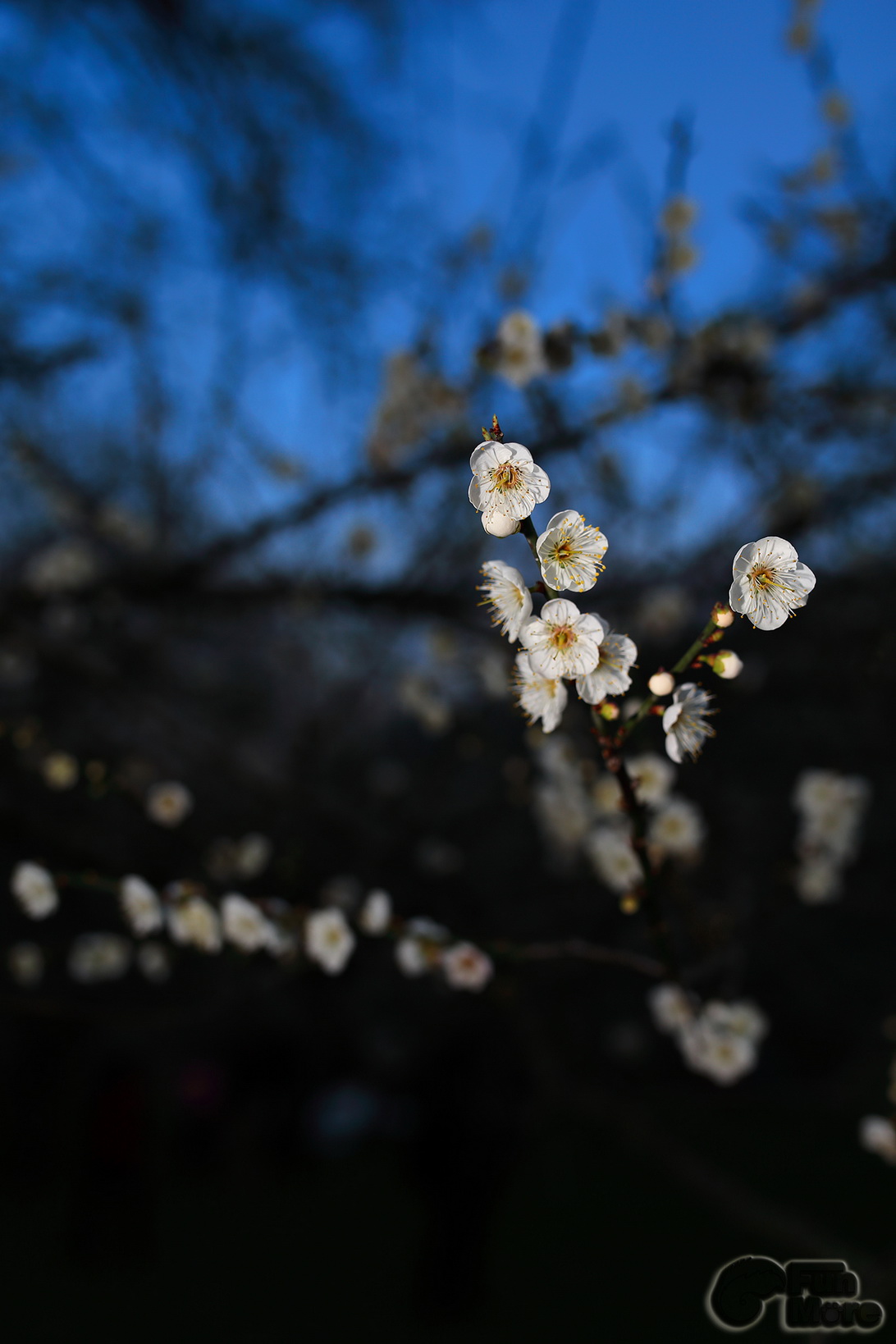 http://i.dcview.tw/gallery/201401/8839c8b647f98bcfcd444f5d30db1537.jpg