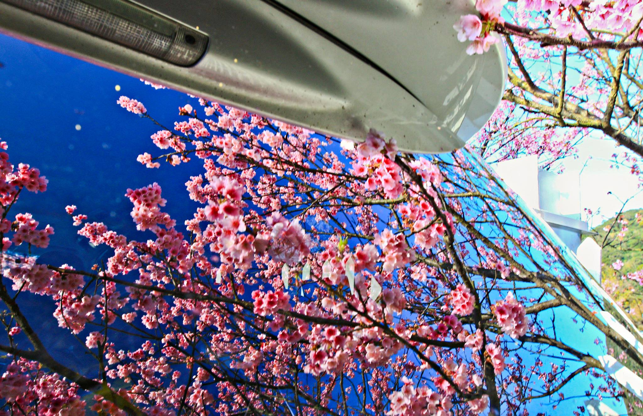 http://i.dcview.tw/gallery/201401/8d99013f3dadaa18a2645c0c147dcb0a.jpg