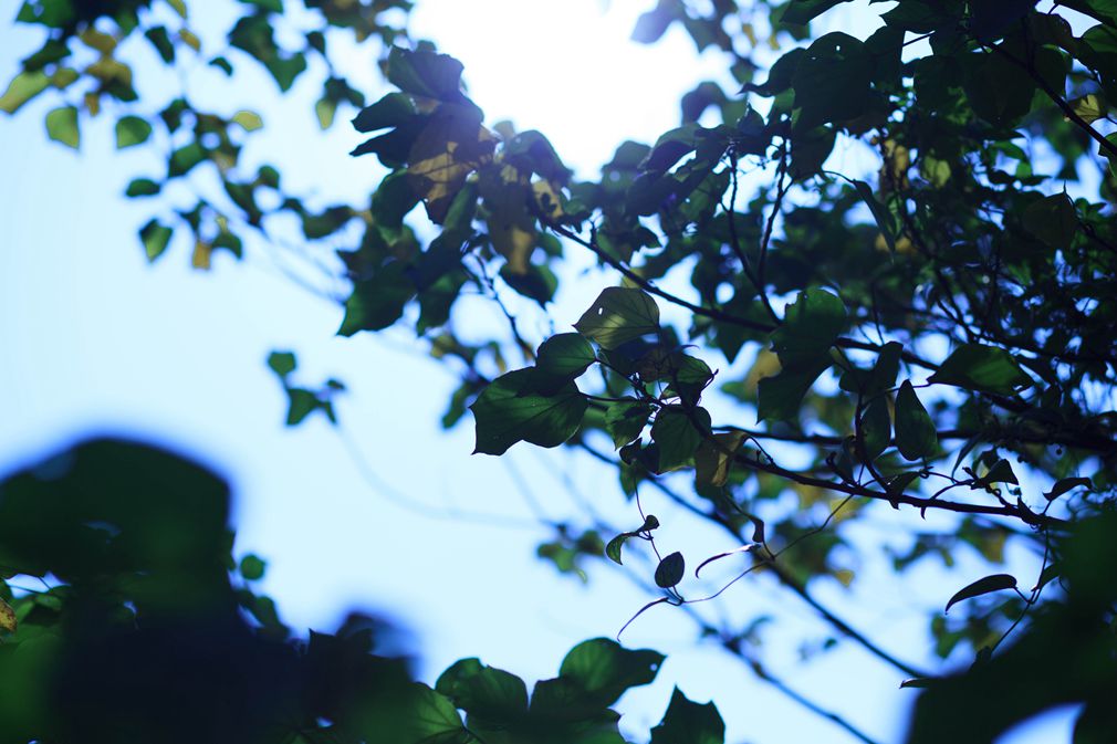 http://i.dcview.tw/gallery/201401/9066525110c74acb4e9b2b168505e868.jpg