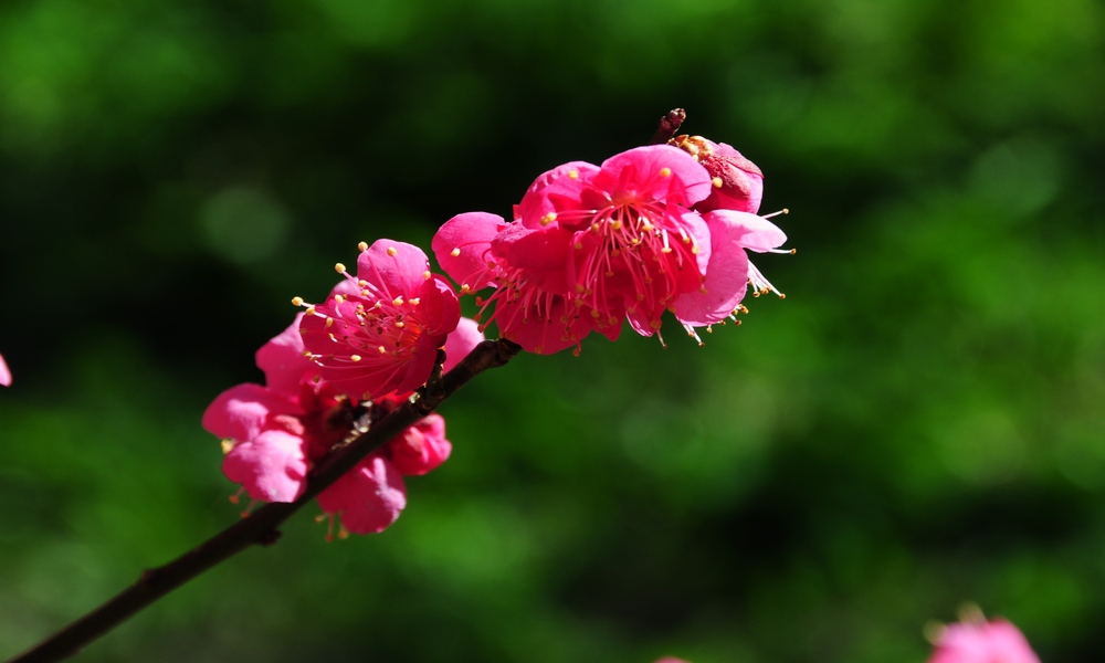 http://i.dcview.tw/gallery/201401/91926f2b893c4d92a14d23e56078667a.jpg
