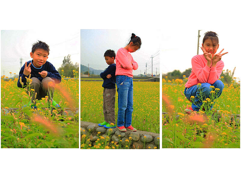 http://i.dcview.tw/gallery/201401/976de197d230136d1fbd3a533e095d49.jpg