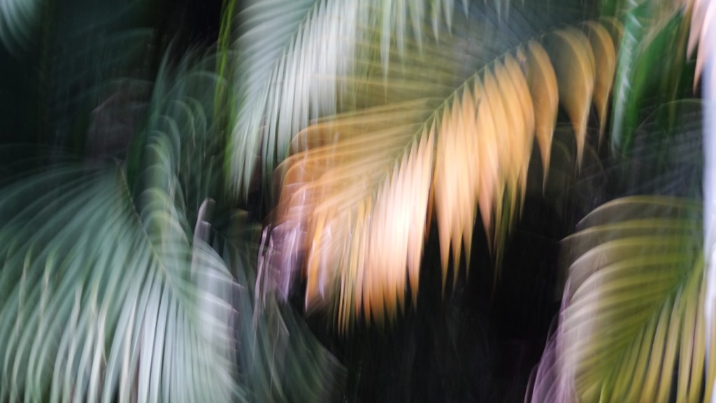 http://i.dcview.tw/gallery/201401/98574af6e23890513a0cd20bdd7ad32b.jpg