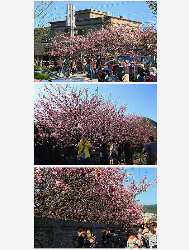 http://i.dcview.tw/gallery/201401/9ee556f16c09dc1229a5669d66b219bc.jpg