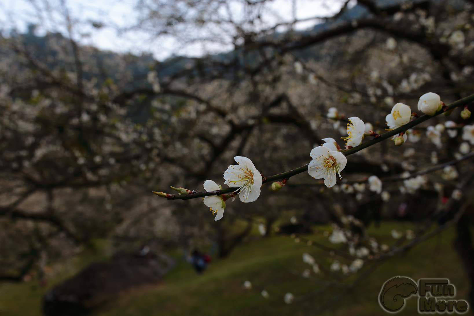 http://i.dcview.tw/gallery/201401/ae78c24accdf5f5f4896c83b71623de0.jpg