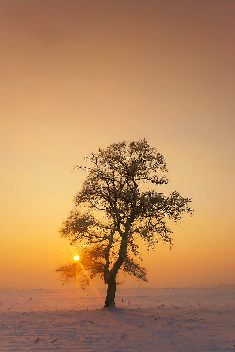 http://i.dcview.tw/gallery/201401/ae95b1993e95750733c2f94f6b071c94.jpg
