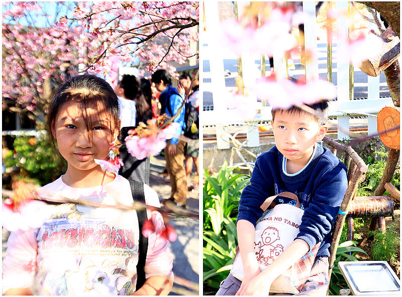 http://i.dcview.tw/gallery/201401/b443519d55ca17e98e2ee425f6cea8ae.jpg