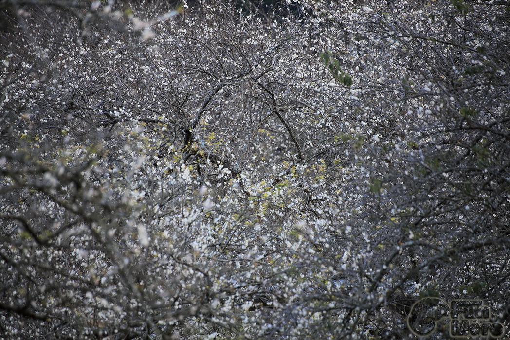 http://i.dcview.tw/gallery/201401/b64a062ac43d8d7ef909509e773f6d7b.jpg