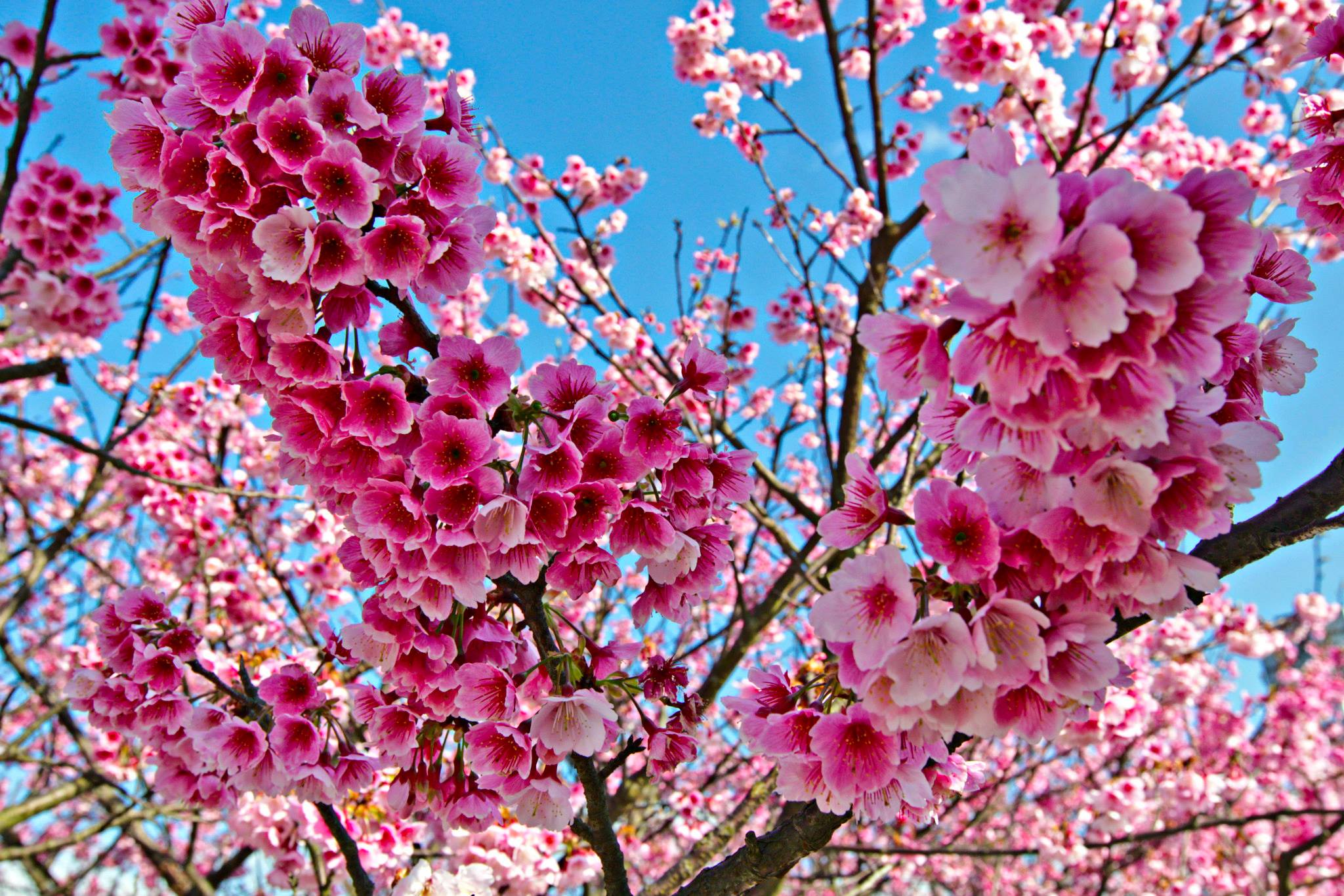 http://i.dcview.tw/gallery/201401/bc4c203645b71f5f4edefee88b1a81a9.jpg