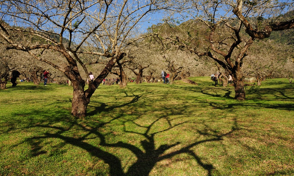 http://i.dcview.tw/gallery/201401/c694bf154115d4e78f6947ba3d434dbd.jpg