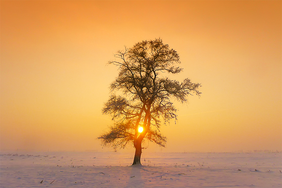 http://i.dcview.tw/gallery/201401/cc7959264f79e63496333cde73d58fb7.jpg